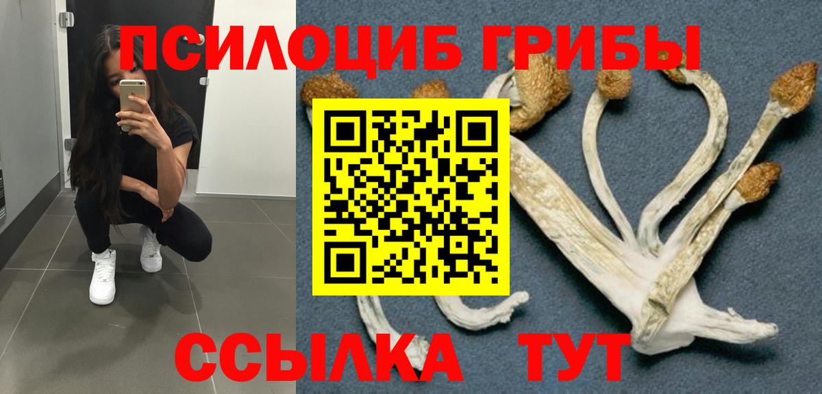 Галлюциногенные грибы мицелий Северск